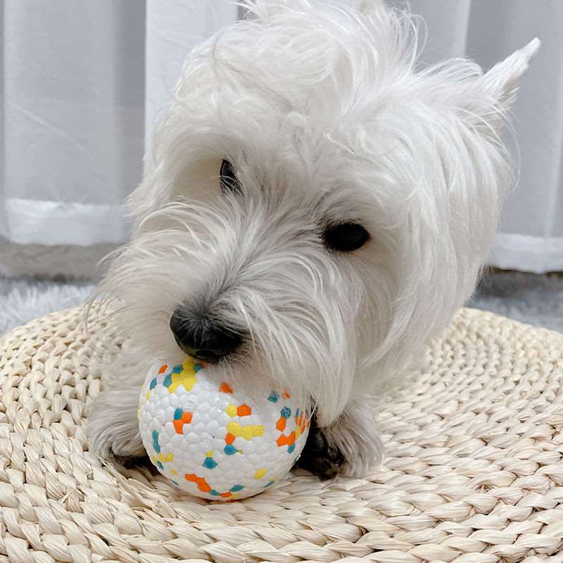 Bite-Resistant Dog Toy Ball