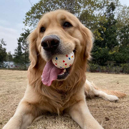 Bite-Resistant Dog Toy Ball