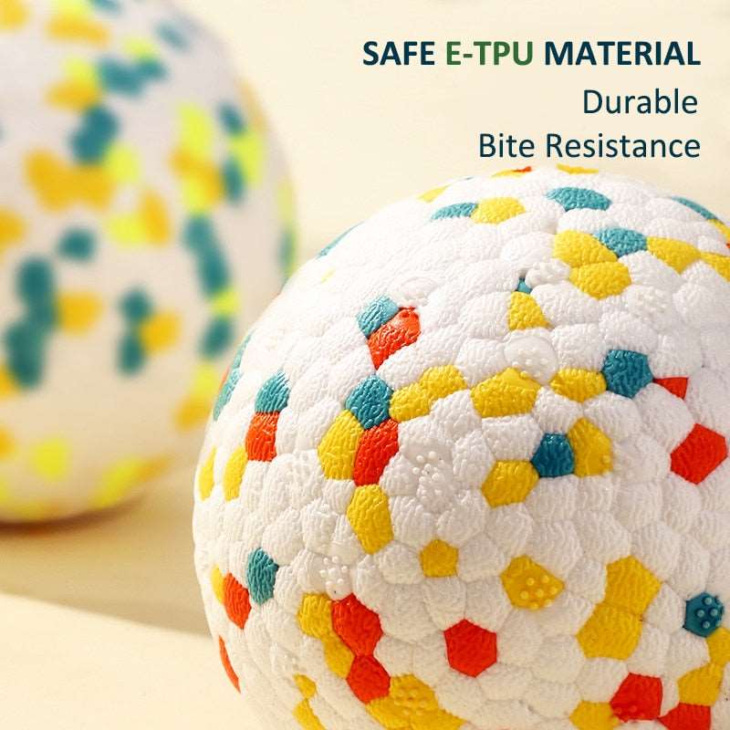 Bite-Resistant Dog Toy Ball