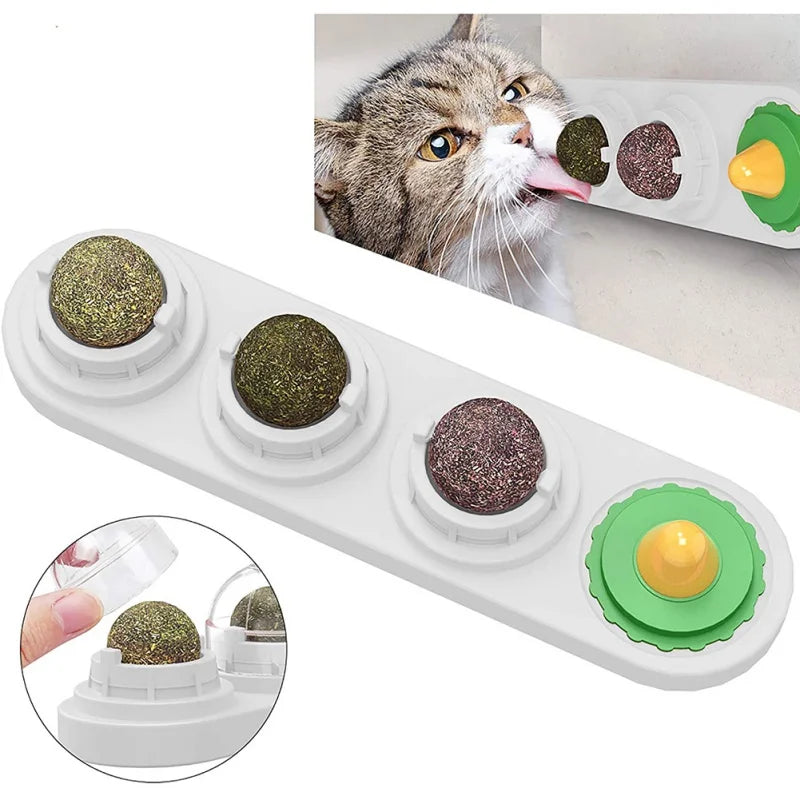 Catnip Wall Toy