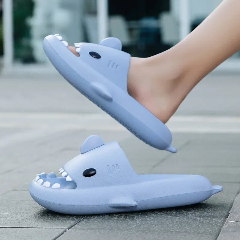 Summer Shark Slides